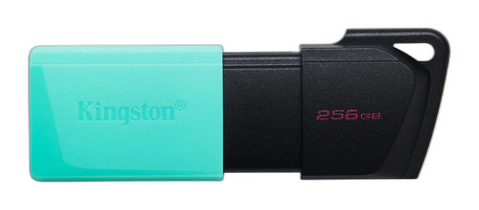 Kingston Technology DataTraveler 256GB USB3.2 Gen1 Exodia M (Negro + Turquesa)