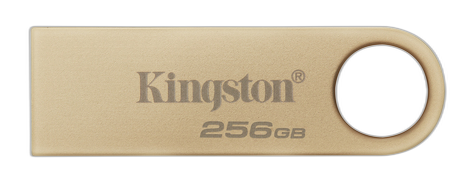 Kingston Technology DataTraveler 256GB 220MB/s Unidad USB 3.2 Gen 1 Metálica SE9 G3