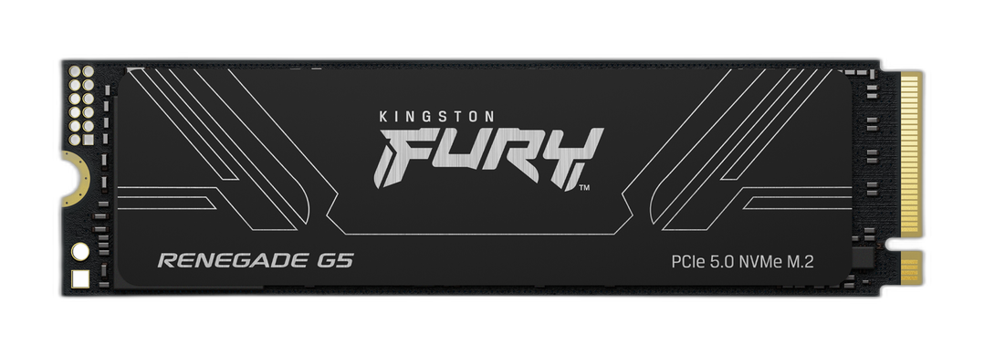 Kingston Technology 2T FURY RENEGADE G5 M.2 2280 NVMe SSD
