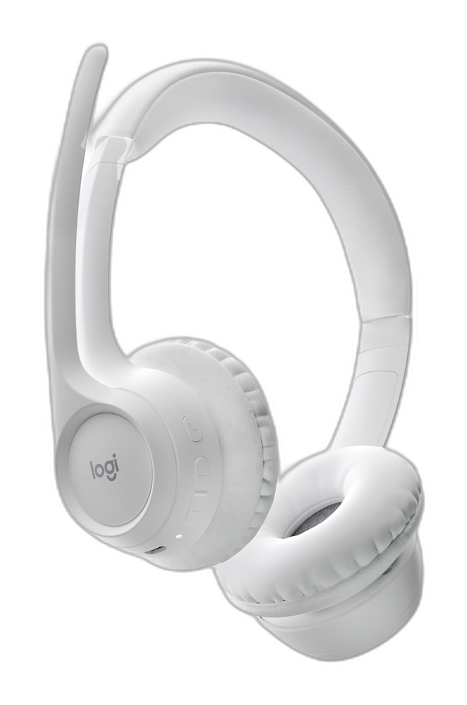Logitech Zone 300