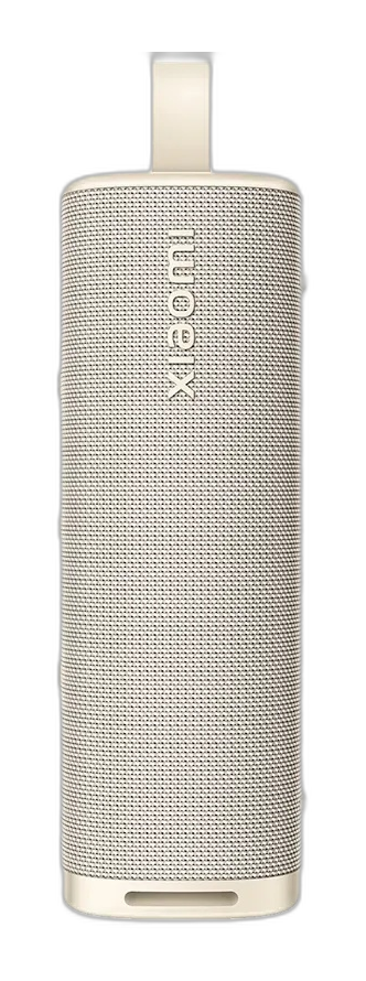 Altavoz Xiaomi Sound Outdoor dorado
