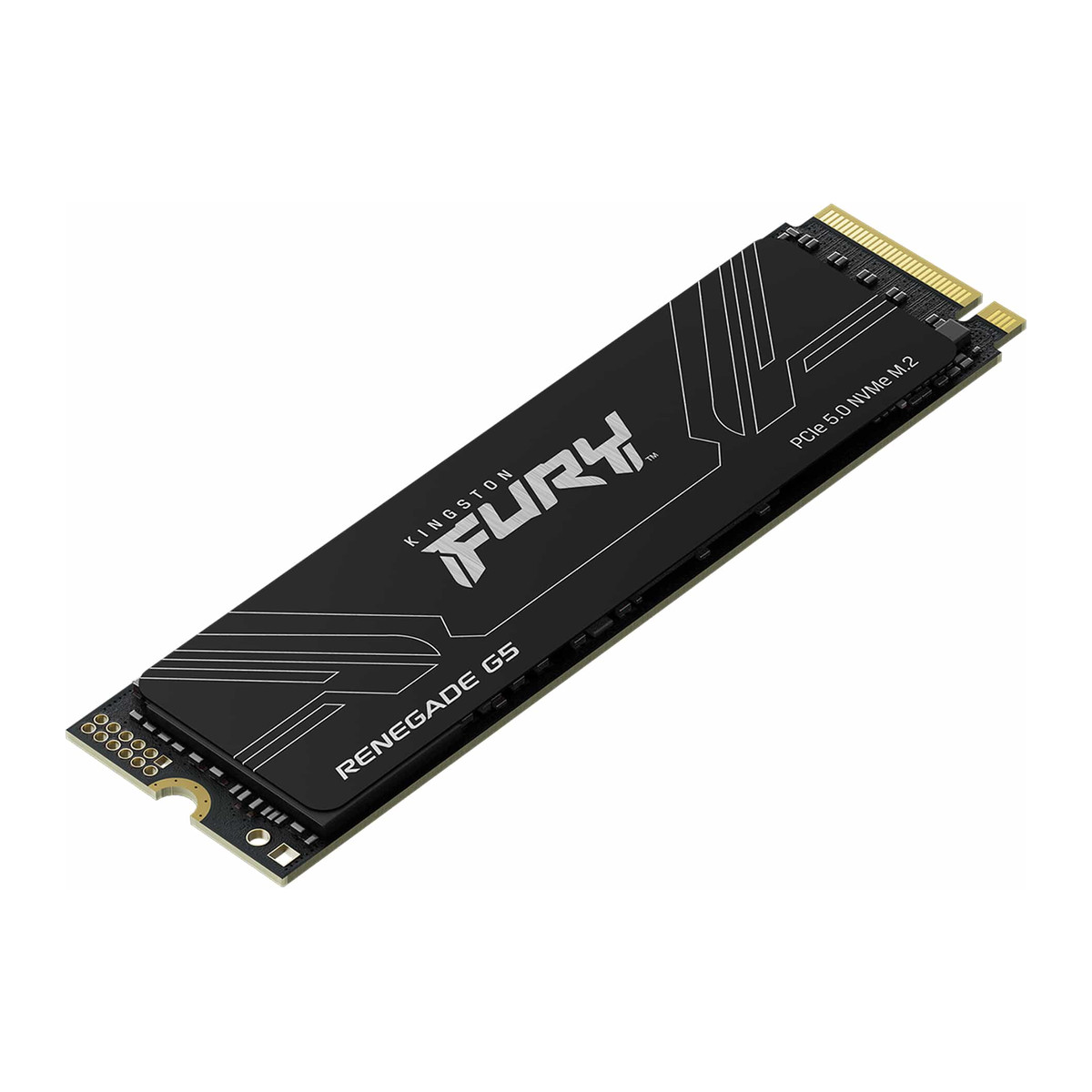 Disco SSD Kingston FURY Renegade G5 M.2 2280 1TB