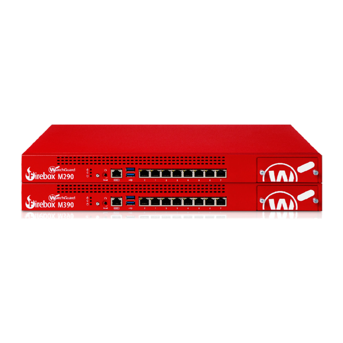 Renovación WatchGuard Basic Security Suite para Firebox M290 1 año